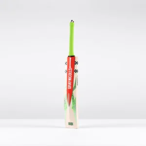 Havoc 1.3 Pro Adult Cricket Bat
